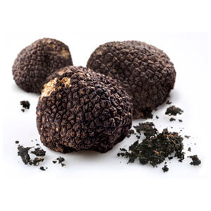 Truffle