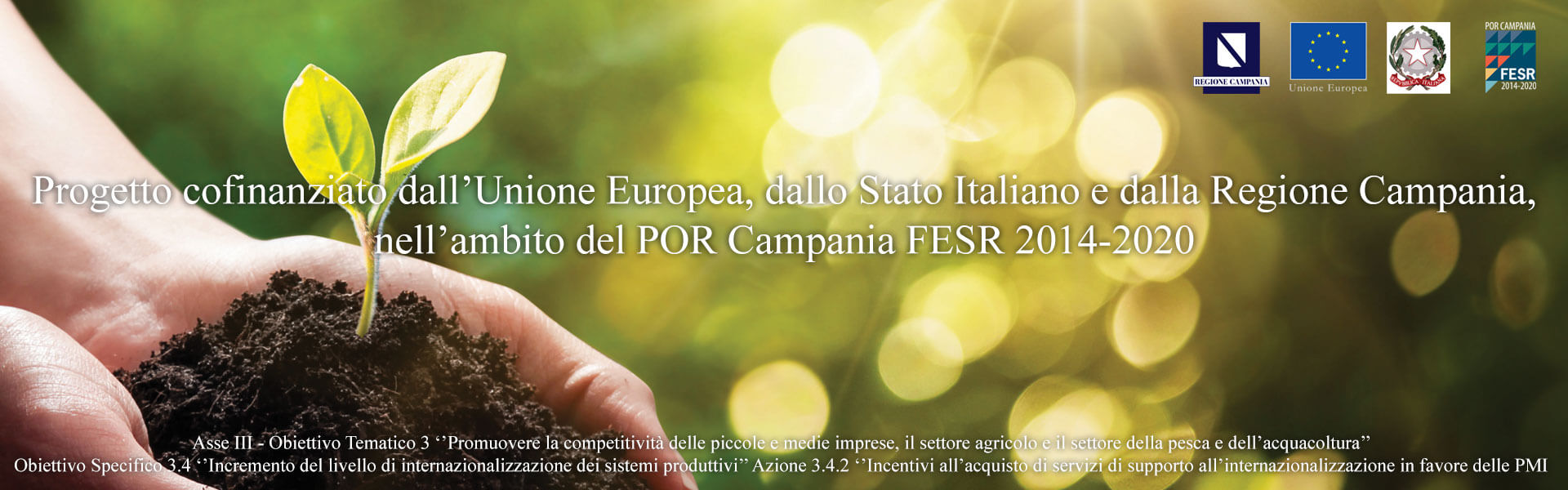 slider-por-campania